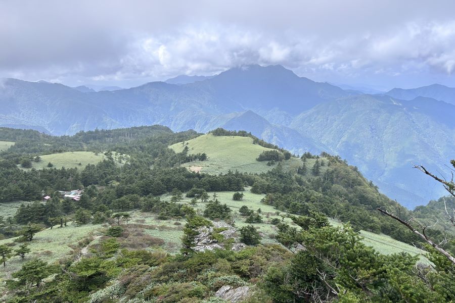 雄大な笹原の先には石鎚山系