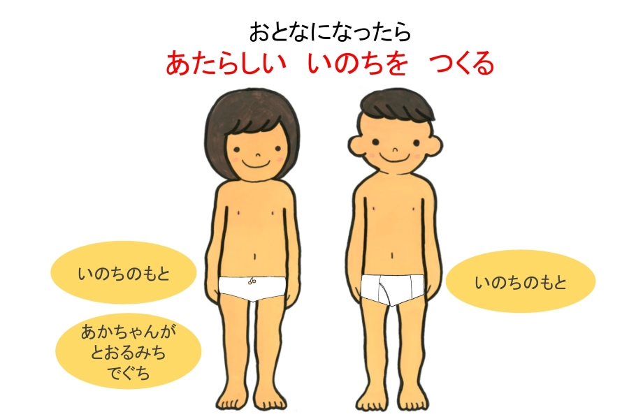 男の子と女の子の違いは？性器の役割も教えます