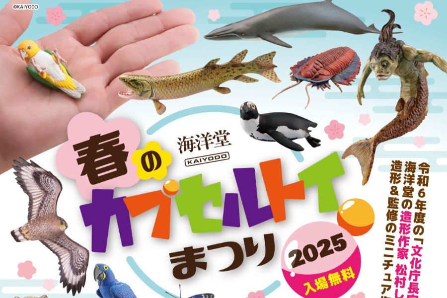 2025年】南国市で「春のカプセルトイまつり」（海洋堂 Space