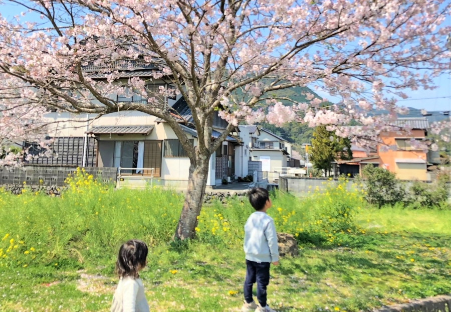 「桜の季節は、出会いと別れの季節」と痛感することが多い転勤族