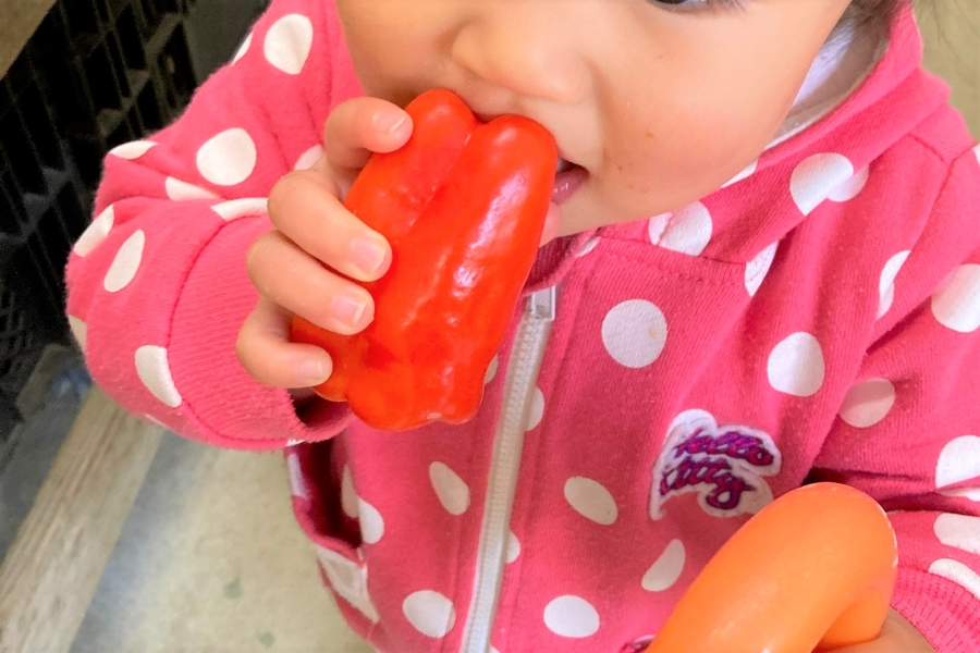 【サポーターズコラム】野菜嫌いの子どもにどうやって食べさせる？農家ならではの食育とは｜尾森沢智さん