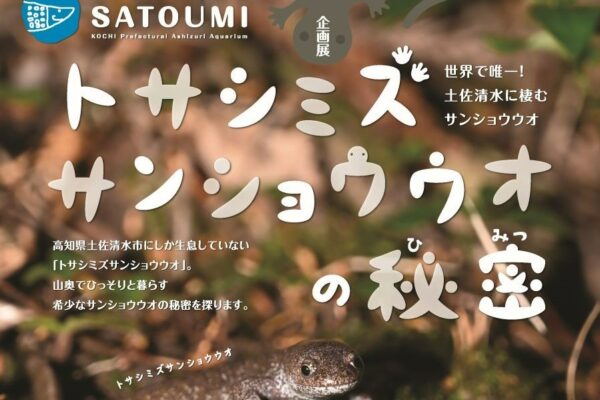 土佐清水市で「トサシミズサンショウウオの秘密」（足摺海洋館SATOUMI）｜サンショウウオの燻製の試食、GWはサメの歯アクセサリー作りを体験できます