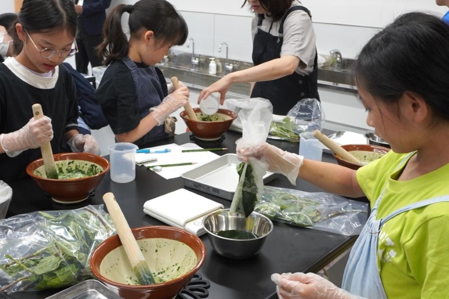 染めてみると…?(高知県立牧野植物園提供)