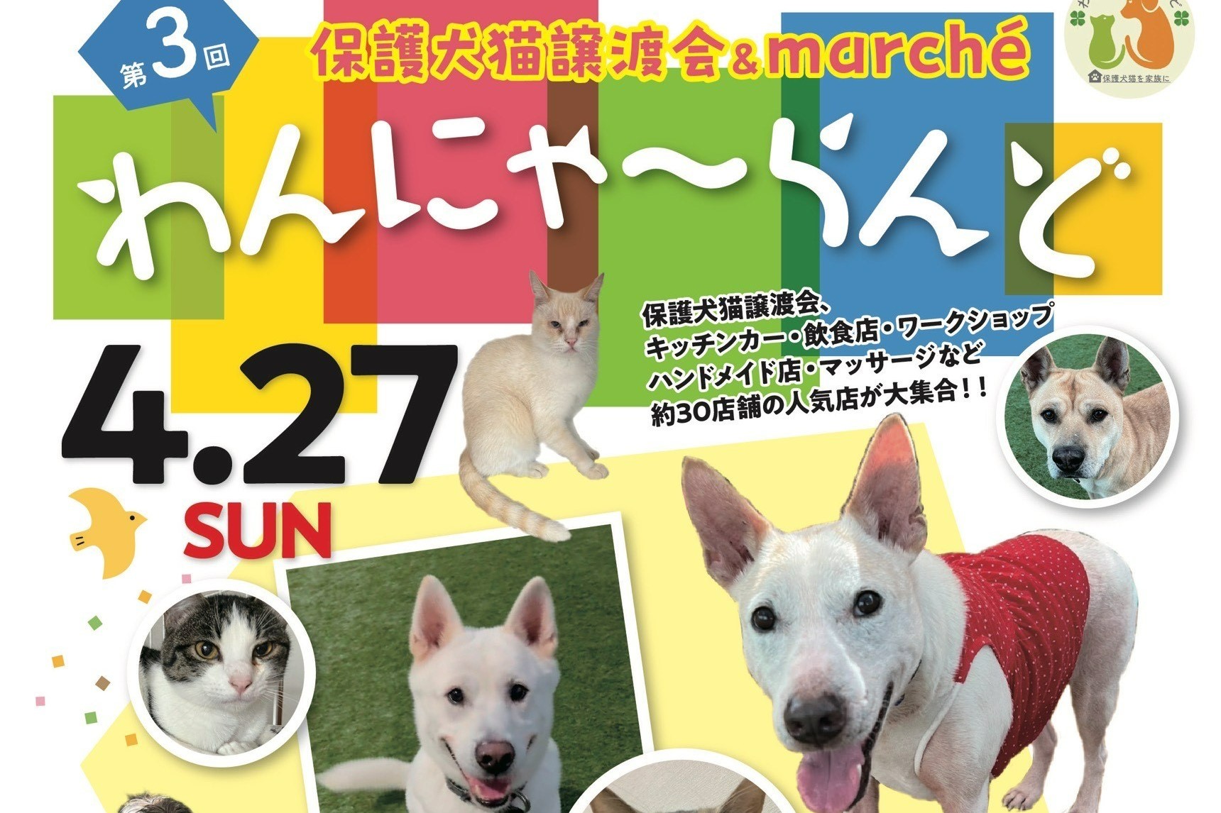 2025年】高知市の中央公園で「わんにゃ～らんど」｜グルメや犬猫