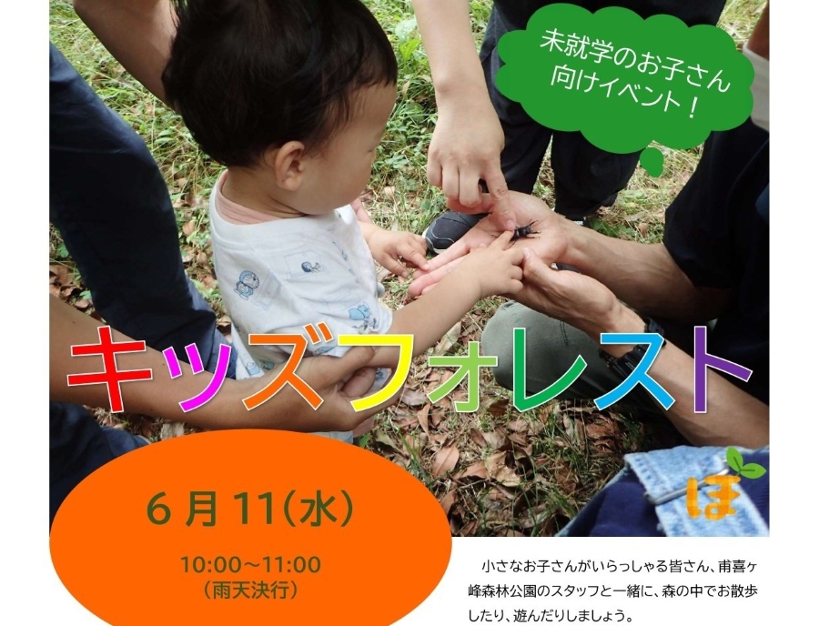【2025年6月】香美市で「キッズフォレスト」(高知県立甫喜ケ峰森林公園)|森の中で遊ぼう!未就学児とその家族が対象です