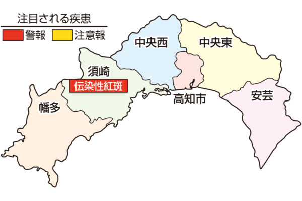 伝染性紅斑が須崎で警報です｜高知県の感染症情報（2025年4月28日～5月4日）
