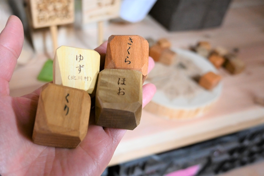 2024年に開発した木のおもちゃ「mekikinoki」