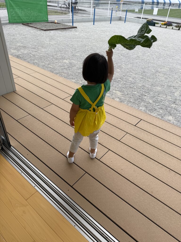 おおきなキャベツ おーい トトロのかさだよ