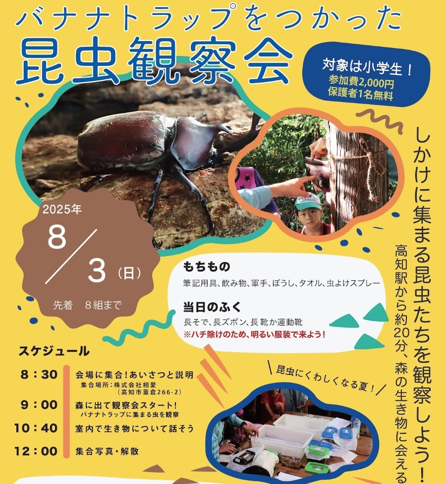 【2025年】高知市で「バナナトラップを使った昆虫観察会」(相愛の森)|仕掛けに集まった昆虫を観察!クイズやゲームも楽しめます