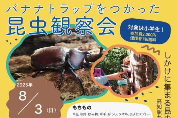 ※定員に達しました※【2025年】高知市で「バナナトラップを使った昆虫観察会」（相愛の森）｜仕掛けに集まった昆虫を観察！クイズやゲームも楽しめます