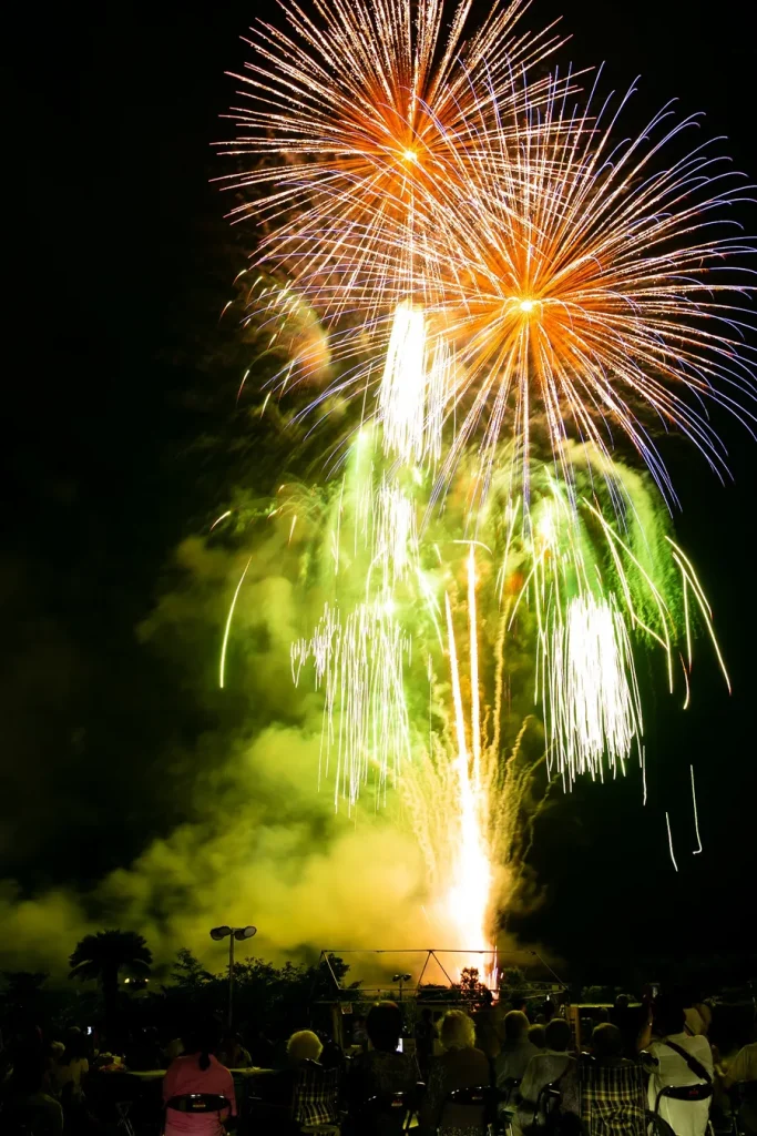 夜空を彩る3000発の花火(提供写真)