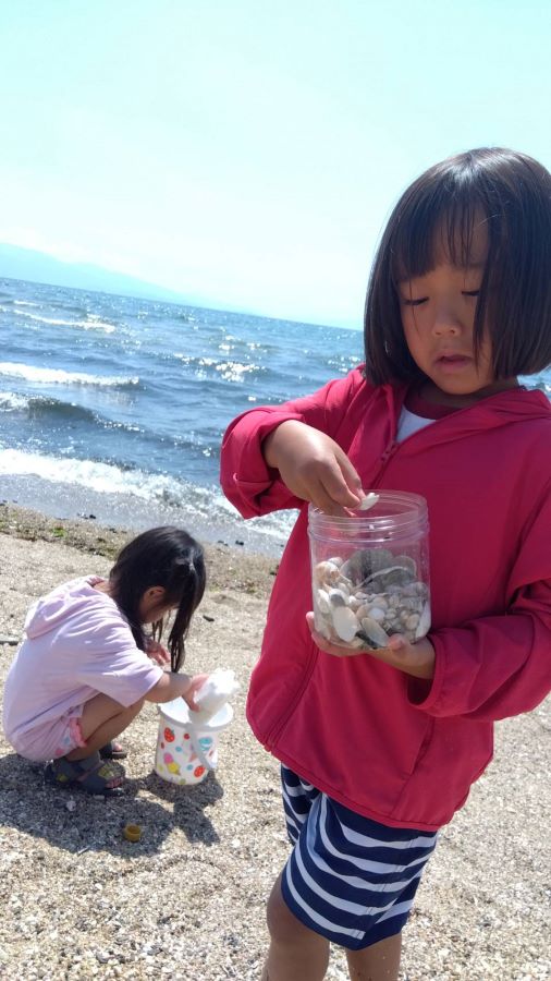 【はじめての海】兄妹で沢山貝がらをひろいました