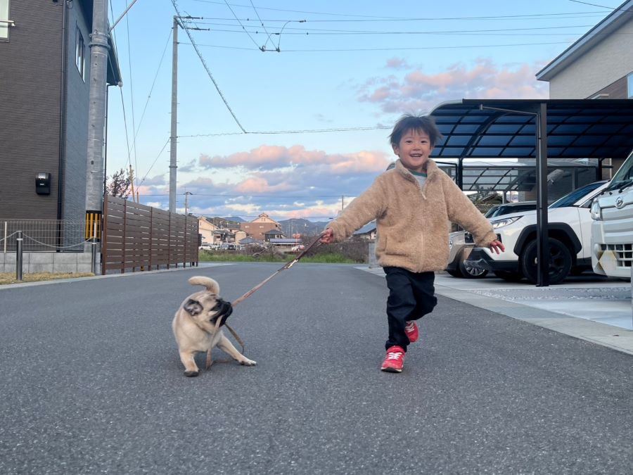 【はじめてのお散歩】「わんちゃん」という家族が増えてとっても嬉しくておおはしゃぎ