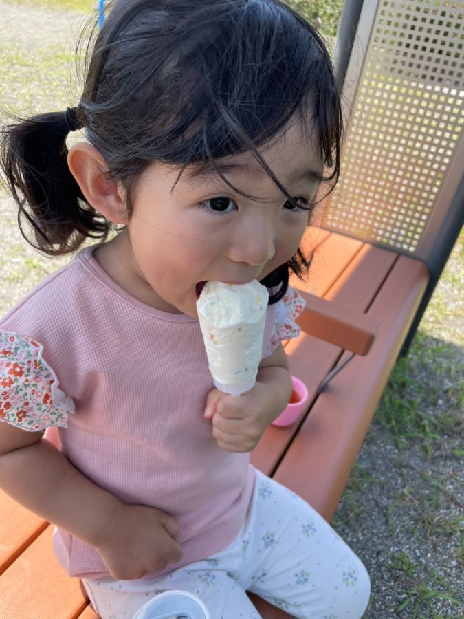 【はじめてのセブンティーンアイス】ずっと食べたかったアイスをようやく食べれた日