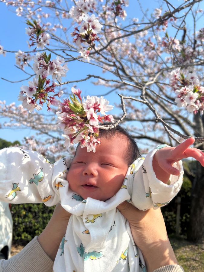 【はじめてのお花見】お花見来たけど眩しくて目が開けられない…