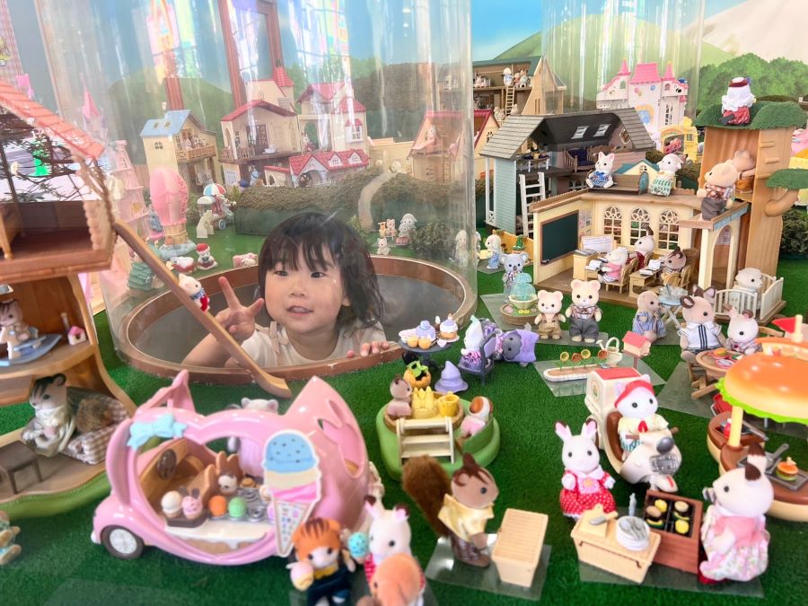 【はじめてのシルバニアファミリー】初めてシルバニアファミリーに出会い、大好きになりました!