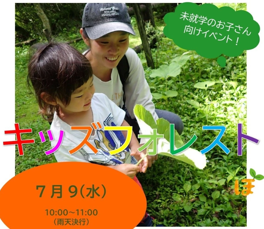 【2025年7月】香美市で「キッズフォレスト」(高知県立甫喜ケ峰森林公園)|森の中で遊ぼう!未就学児とその家族が対象です