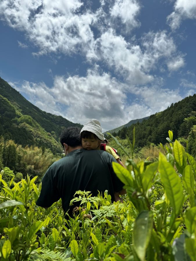 【はじめての茶摘み】大自然の気持ちよさに寝ちゃいました(笑)