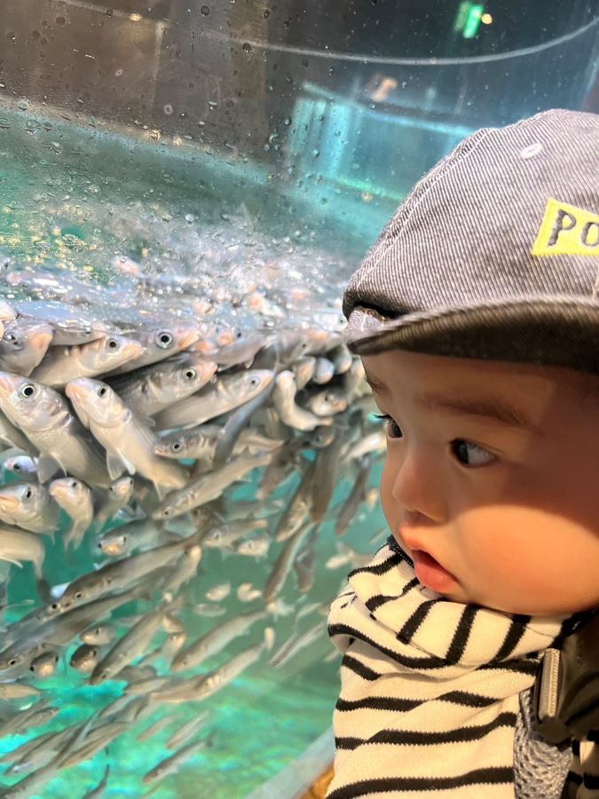 【はじめての室戸廃校水族館】魚がたくさん寄ってきたのに驚いてる姿が可愛い1枚です
