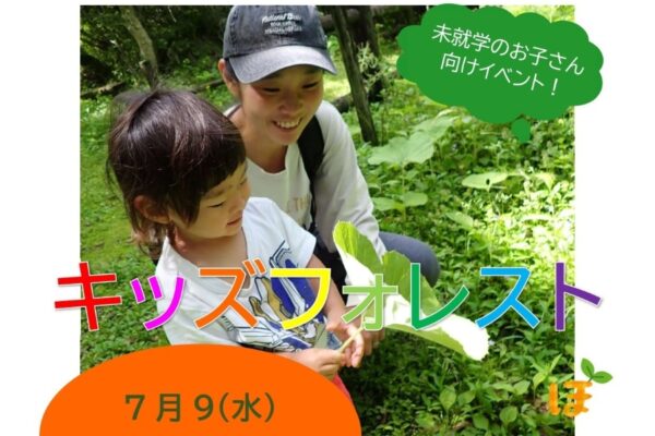 【2025年7月】香美市で「キッズフォレスト」（高知県立甫喜ケ峰森林公園）｜森の中で遊ぼう！未就学児とその家族が対象です