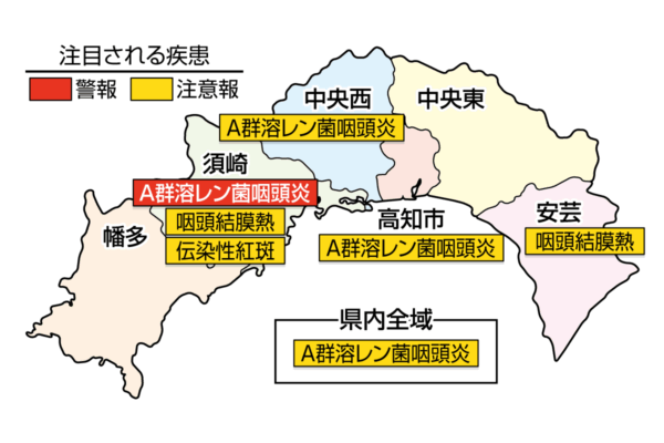 幡陽小児童が貝殻の標本作りに挑戦しました!｜週刊高知の子どもニュース（2022年7月9～15日）