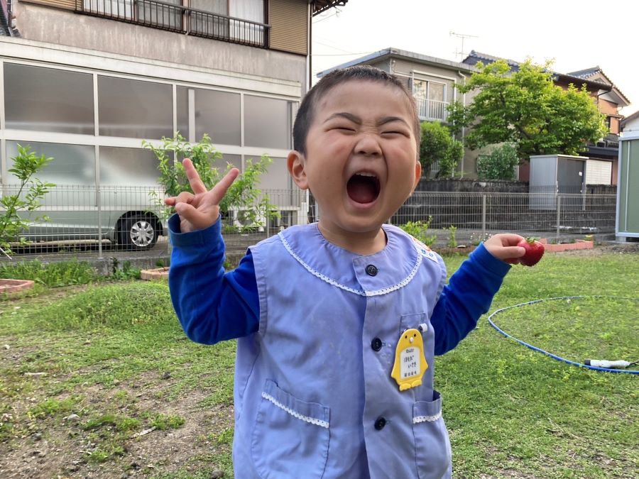 【はじめての庭の苺収穫】大好きな苺を庭で育て、念願の一つ目を収穫したときの歓喜の表情