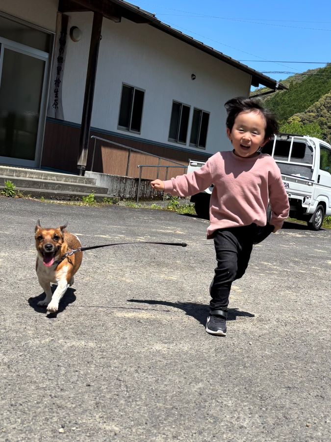 【はじめてのワンコ散歩】愛犬のリードを1人ではじめて持ってみた日