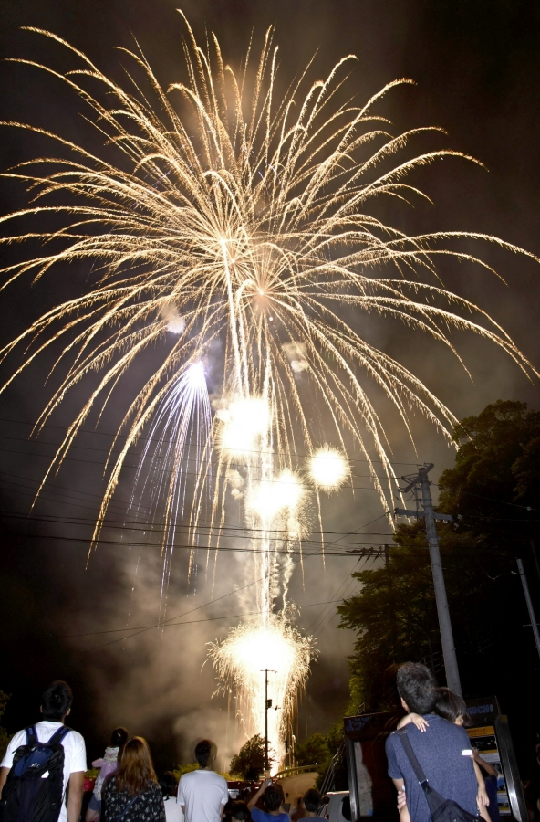 大勢の家族連れらが花火を楽しんだ「龍河洞まつり」（高知新聞2017年8月29日掲載）