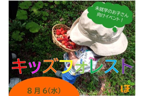 【2025年8月】香美市で「キッズフォレスト」（高知県立甫喜ケ峰森林公園）｜森の中で遊ぼう！未就学児とその家族が対象です