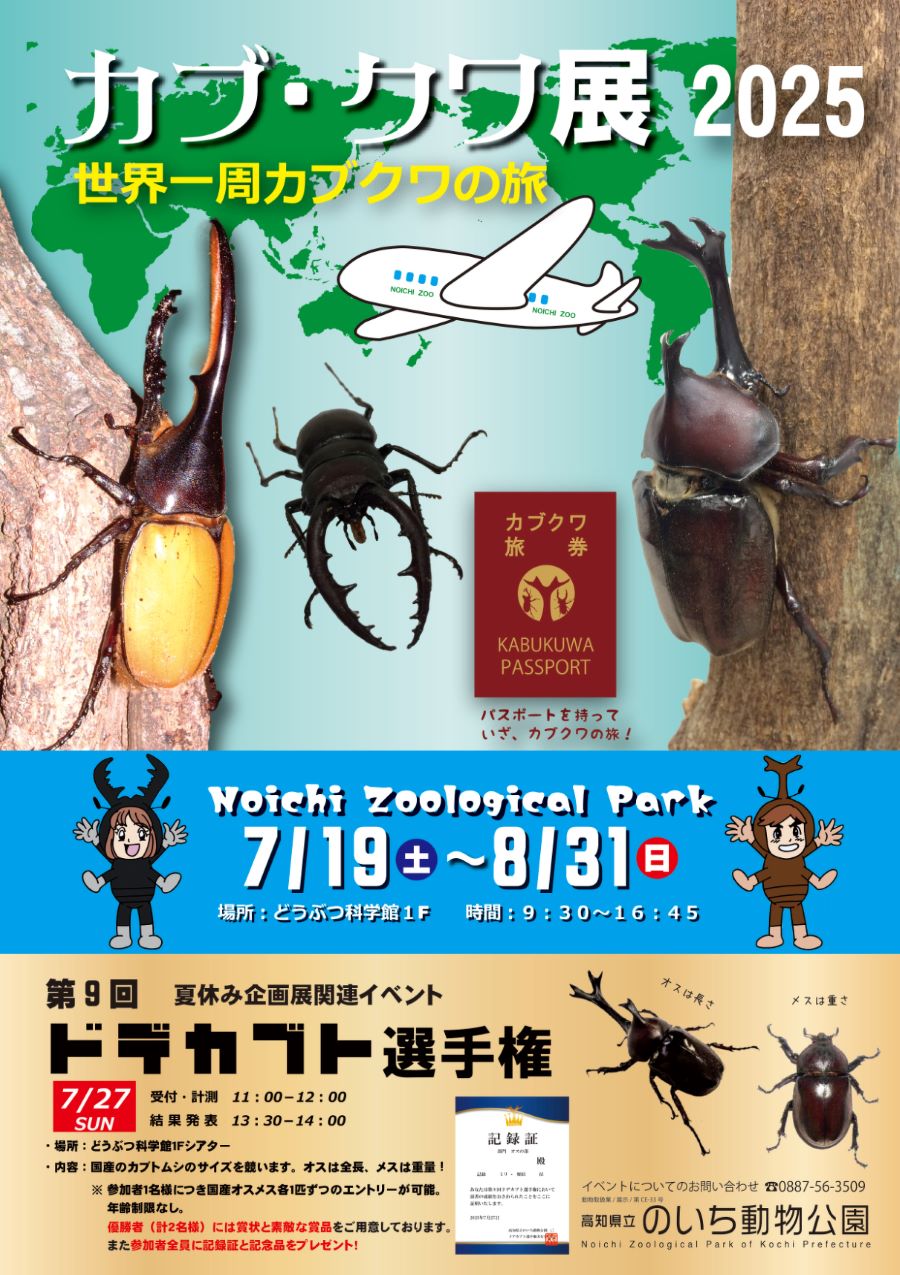 香南市の高知県立のいち動物公園で「カブ・クワ展2025 世界一周カブクワの旅」|世界のカブトムシ、クワガタムシがやってくる!7/27(日)は「ドデカブト選手権」に参加できます
