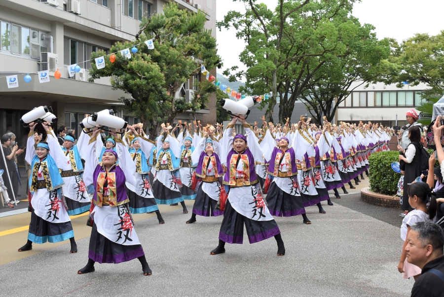 踊りは間近で見られます