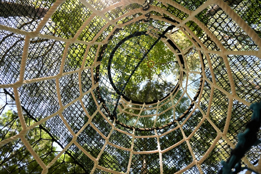 頑張って登った先が…