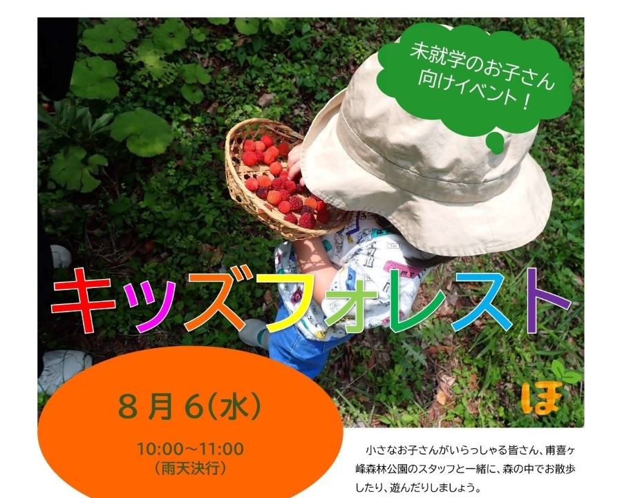 【2025年8月】香美市で「キッズフォレスト」（高知県立甫喜ケ峰森林公園）｜森の中で遊ぼう！未就学児とその家族が対象です