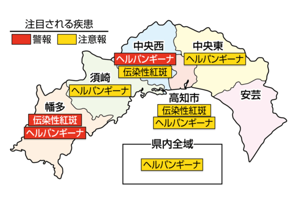 【2024年】須崎市で「第14回すさき七夕かざり」（すさきまちかどギャラリーなど）｜マルシェ、縁日、ワークショップ…須崎の七夕飾りに欠かせない「わら馬」などの作品が展示されます