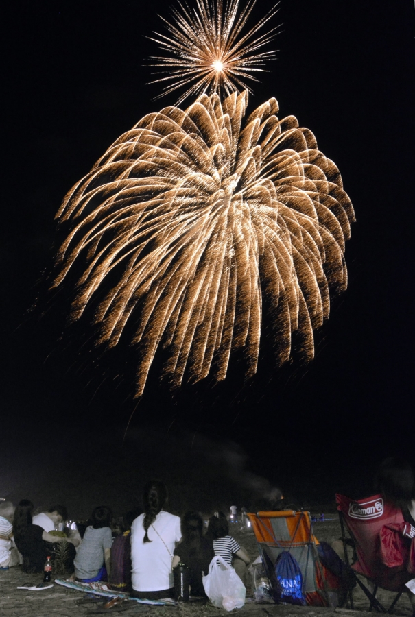 多くの観客が見守る中、夜空を染めた花火（高知新聞2019年7月31日掲載）