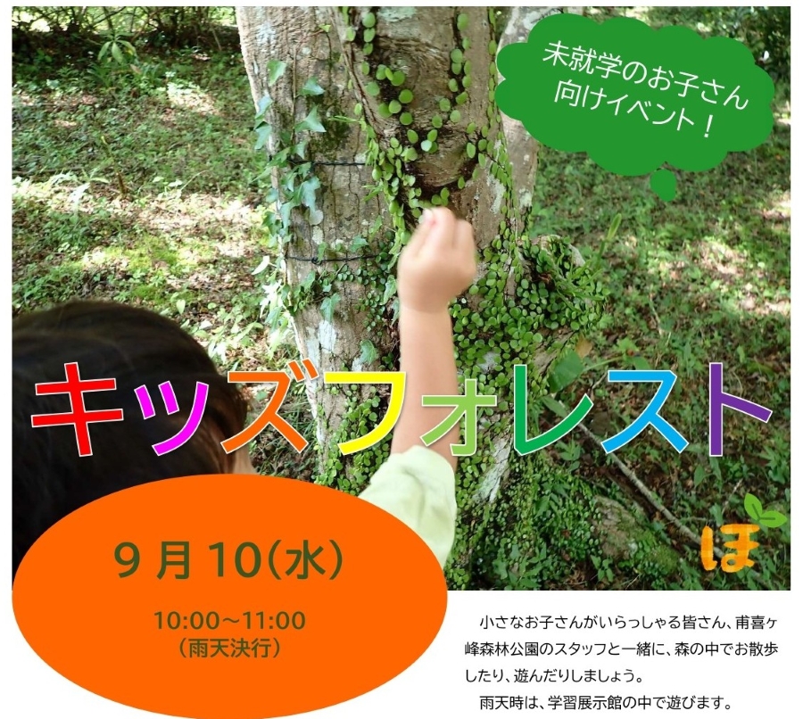 【2025年9月】香美市で「キッズフォレスト」(高知県立甫喜ケ峰森林公園)|森の中で遊ぼう!未就学児とその家族が対象です