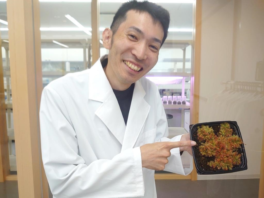 食虫植物が大好きな研究員・白河潤一さんが講師を務めます（高知県立牧野植物園提供）