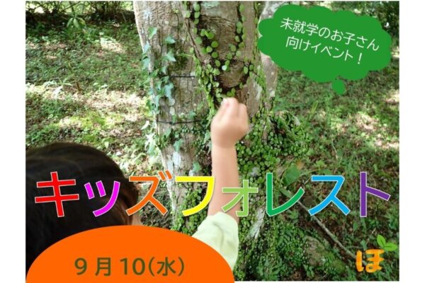 【2025年9月】香美市で「キッズフォレスト」（高知県立甫喜ケ峰森林公園）｜森の中で遊ぼう！未就学児とその家族が対象です