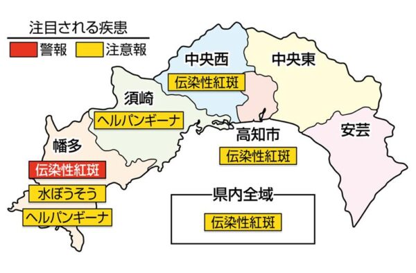 パパ・ママリサーチ｜新型コロナウイルス・5～11歳の子どもにワクチンを接種する？しない？