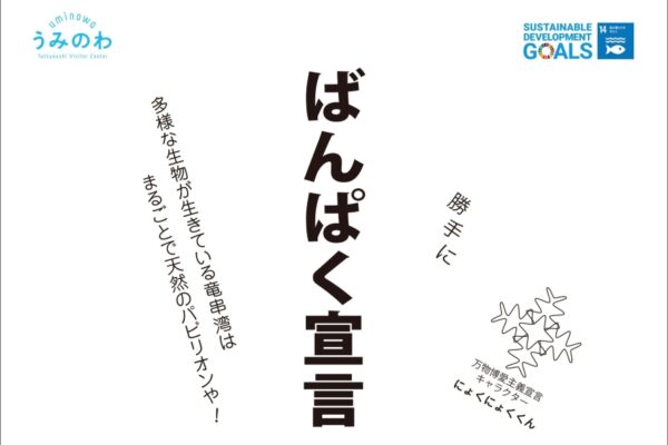 【2025年】土佐清水市で「ばんぱく宣言 〜 うみのわ夏休み自由研究企画 〜」（竜串ビジターセンター「うみのわ」）｜夏の潮だまりで生き物観察、桜浜の貝殻で工作…自由研究にいかがですか？