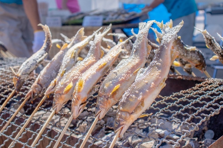 【2025年】高知市で「第3回こうち天然あゆまつり」(中央公園)|アユの塩焼きや天ぷら、アユ飯などのグルメあり!「天然アユのつかみ取り」、ワークショップ、スタンプラリーも!