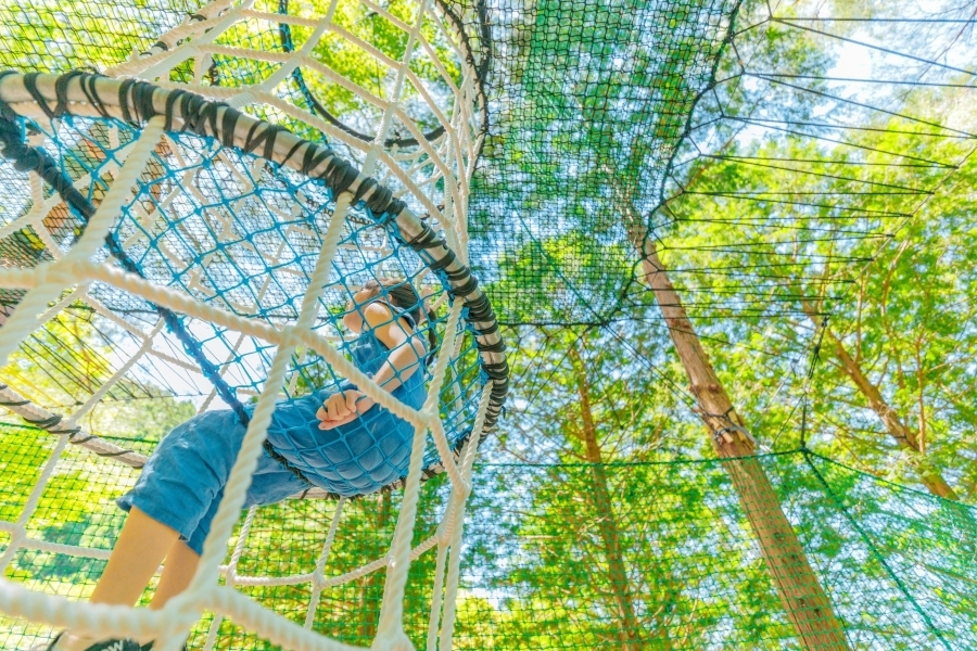 今年 8 月にオープンした巨大ネットの空中アスレチック「ファンモック」（写真は主催者の提供です）