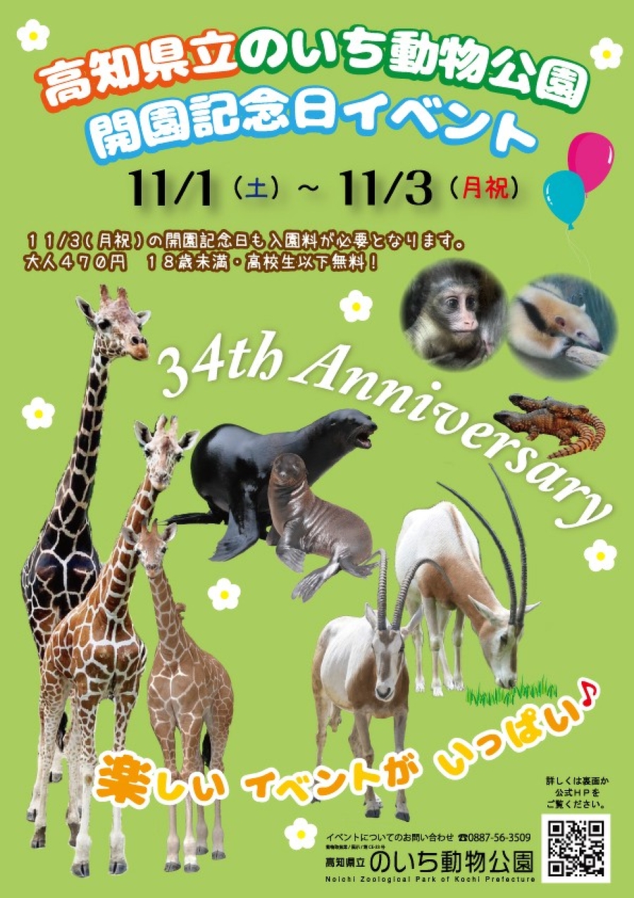 【2025年】香南市の高知県立のいち動物公園で「開園記念日イベント」|動物の絵ハガキ作り、クイズラリー…日替わりで「のいちdeどうぶつ体操♪」「さわる動物園」などが楽しめます