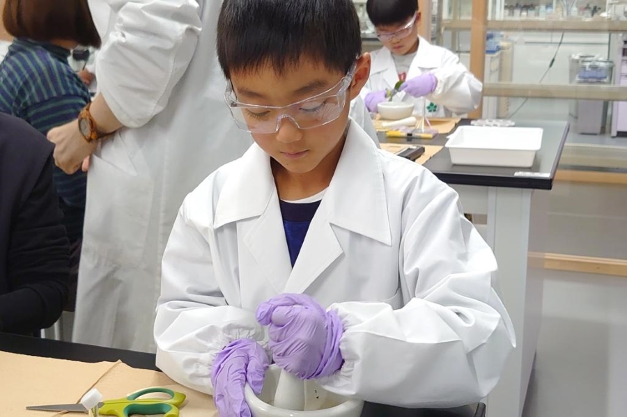 植物はなぜ薬になる？（高知県立牧野植物園提供）