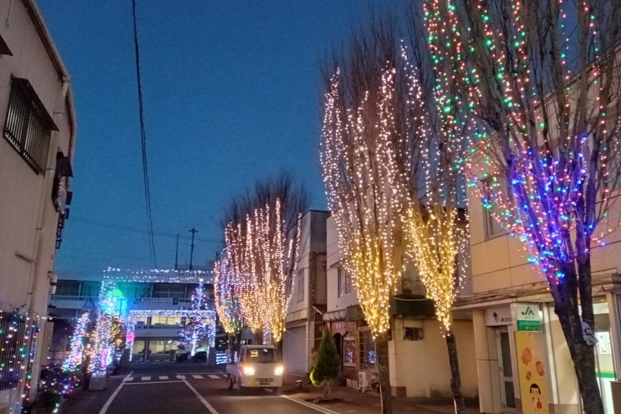 ロマンティックイルミネーション冬物語で彩られた並木通り（写真は主催者の提供です）