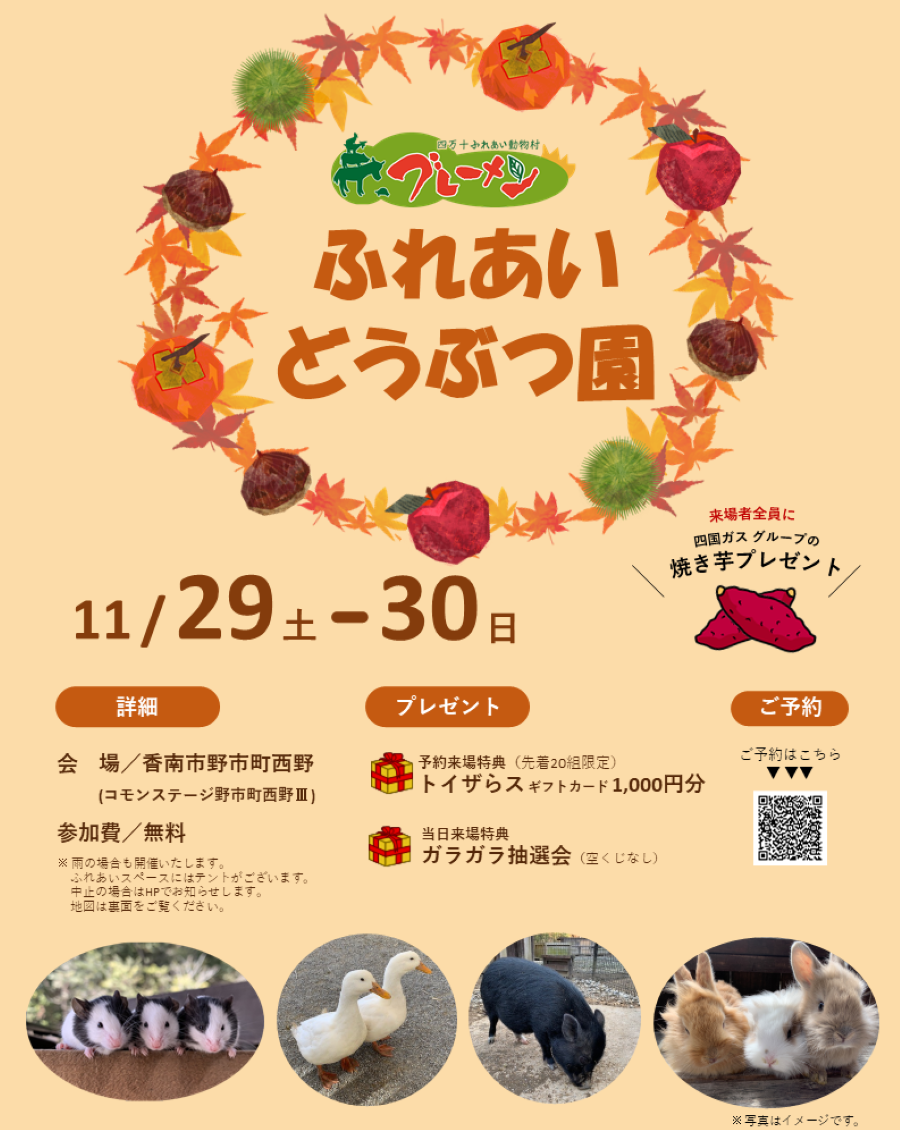 香南市で「ふれあいどうぶつ園」（コモンステージ野市町西野Ⅲ）｜ウサギ、アヒル、ミニブタ、ヒツジの散歩体験…動物たちと心温まるひとときを♪予約来場で「トイザらスギフトカード1000円分」プレゼント〈PR〉