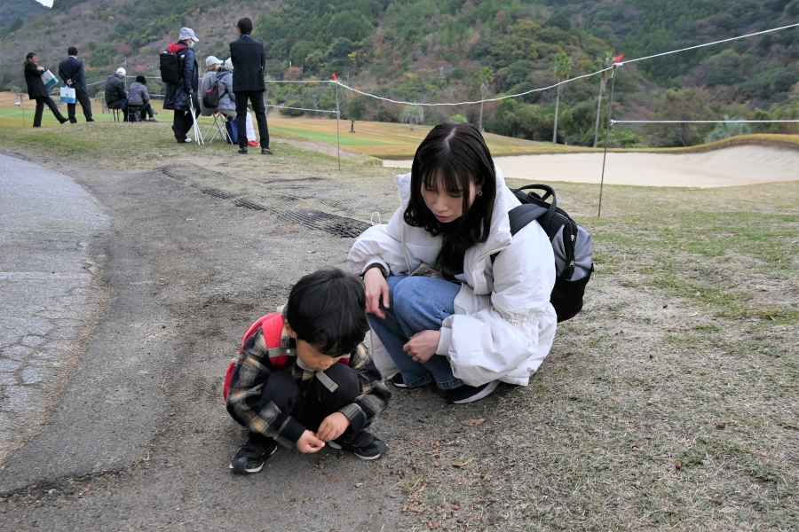 ドングリを拾ったり