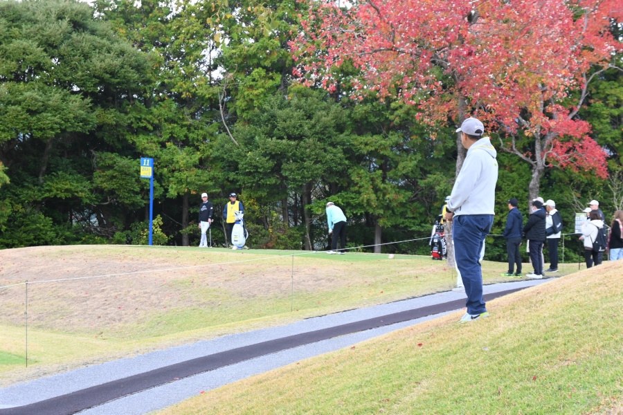 海に向かって右側が11番ホールのティーグラウンド