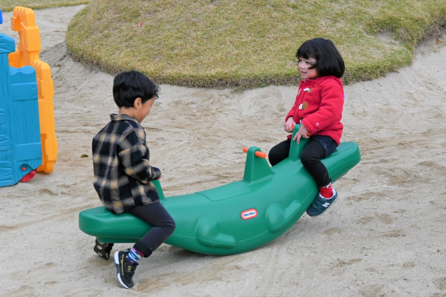 シーソーで遊んだり