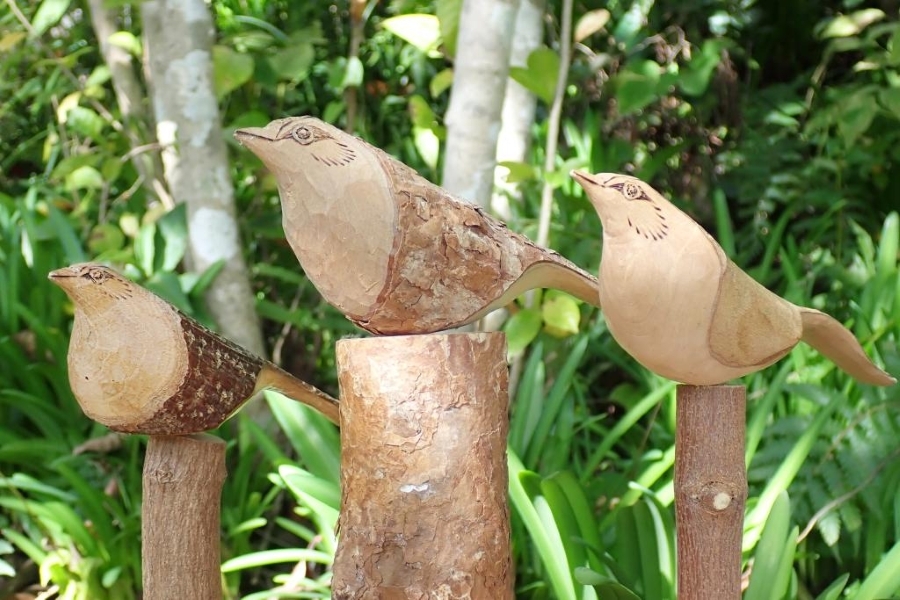 バードカービングにも挑戦します（高知県立牧野植物園提供）